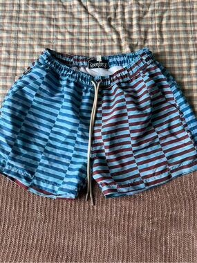 Good Park Gooseberry Blue and Burgundy Striped Swim Shorts